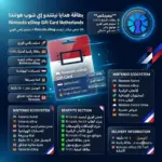 بطاقة هدايا نينتندو إي شوب هولندا